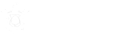 alternative